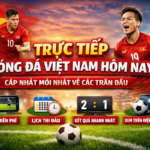 Trực tiếp bóng đá Việt Nam miễn phí, người hâm mộ xem trận đấu trên điện thoại.