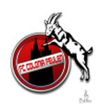 Club crest