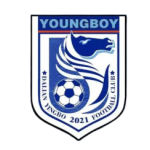 Dalian Yingbo B logo