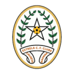Club crest