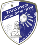 Club crest