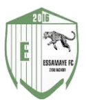 Club crest
